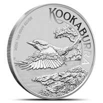 Australian Kookaburra